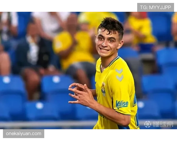 恩佐与德容中场推进机制与角色定位差异分析