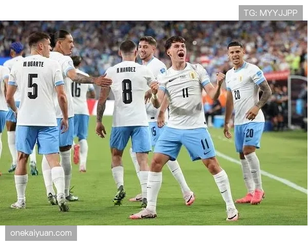 巴尔韦德：世界杯与美洲杯大赛主力成员